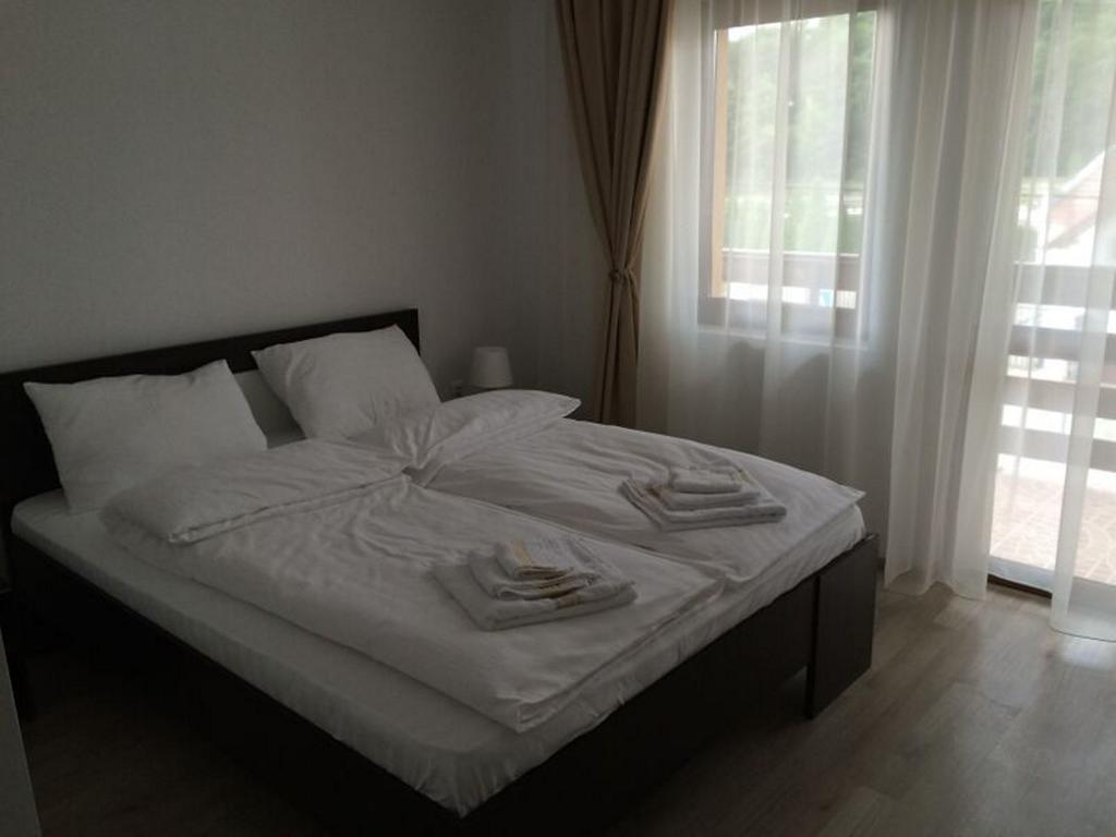 Restaurant Indus Guest house Ocna Sibiului